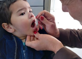 Erechim: Mais de 1500 crianças receberam doses de vacina no dia D de vacinação