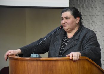 Vereadora Sandra Picoli solicita que seja feita a pintura de sinalização na Avenida Caldas Junior