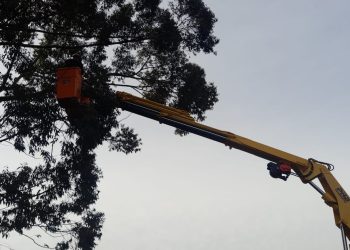 Projeto Transformar auxilia detentos a reconstruir a vida e a liberdade através do trabalho