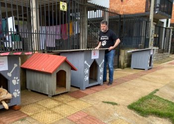 Lei que garante apadrinhamento de cães e gatos comunitários já é realidade em Erechim