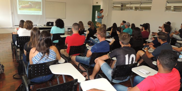 UFFS promove XI Seminário de Ensino, Pesquisa e Extensão na próxima semana