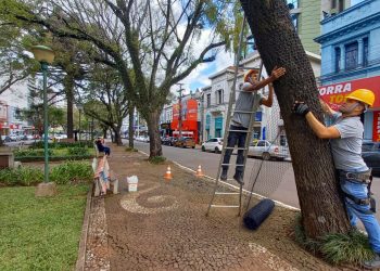Luzes de natal devem ser acesas em 06 de novembro em Erechim