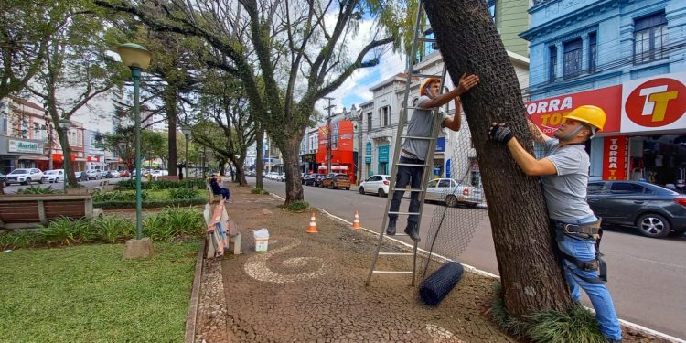 Luzes de natal devem ser acesas em 06 de novembro em Erechim
