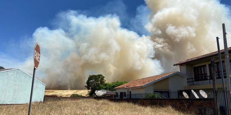 Incêndio em vegetação mobiliza Bombeiros em Erechim