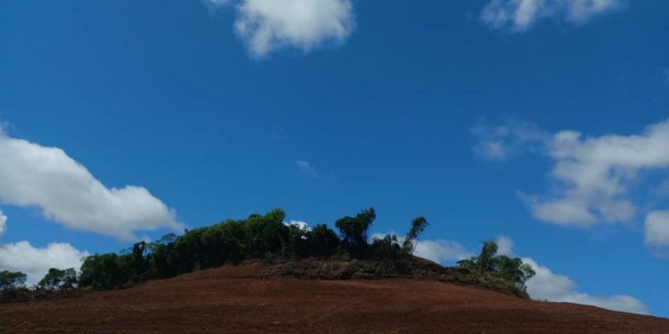 Batalhão Ambiental flagra 37.500 m² de desmatamento em São João da Urtiga