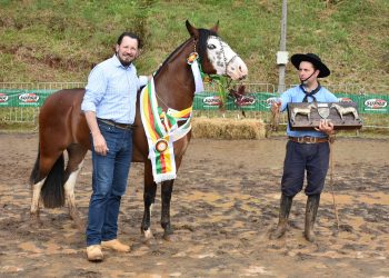 FRINAPE 2022: Fenagro abriga a 11ª Exposição Morfológica de Cavalo Crioulo