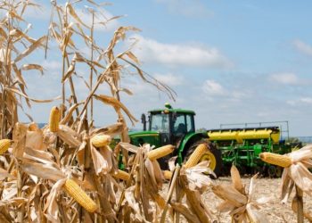 Estiagem impacta o resultado das exportações do agronegócio gaúcho no terceiro trimestre