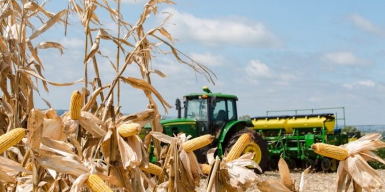 Estiagem impacta o resultado das exportações do agronegócio gaúcho no terceiro trimestre