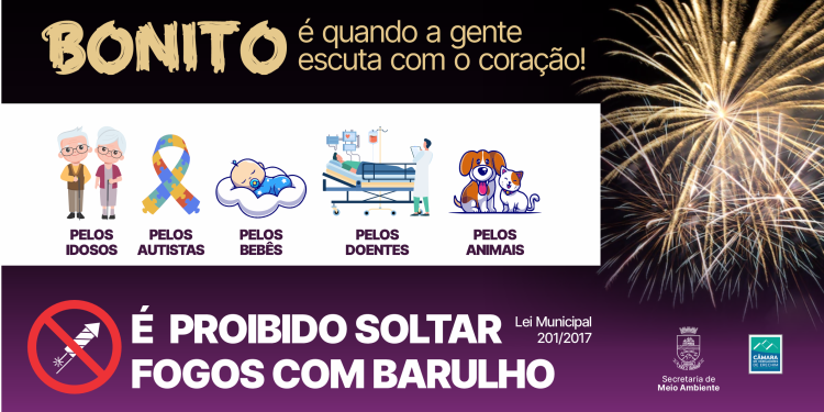 Atenção! Fogos de artifício com barulho são proibidos em Erechim