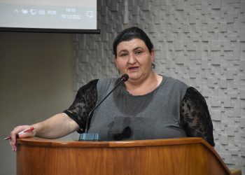 Vereadora Sandra Picoli solicita ao Executivo a criação do Conselho Municipal do Imigrante