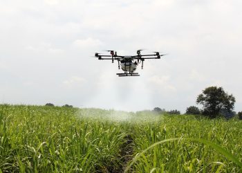 Uso de drone na agricultura é cada vez mais realidade na região