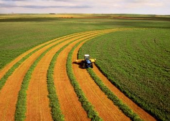 Rio Grande do Sul registra valor recorde em exportações do agronegócio