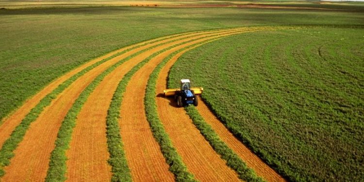 Rio Grande do Sul registra valor recorde em exportações do agronegócio