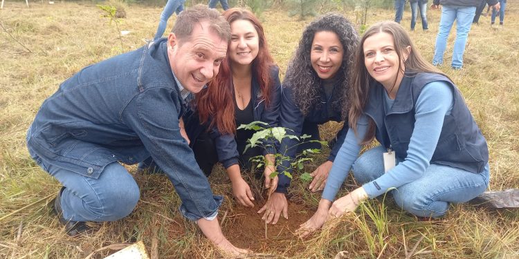 Plantio de árvores marca semana do aniversário de Erechim
