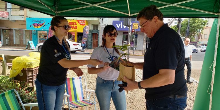 Esquina Democrática recebe atividades de incentivo à arborização