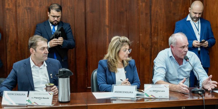 Diretor Flávio Gabardo, afastado da escola em Jacutinga, foi ouvido na Comissão de Educação