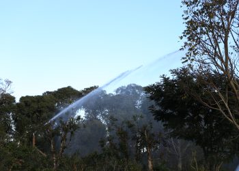 Terceira propriedade do país com irrigação de Erva Mate está em Erechim