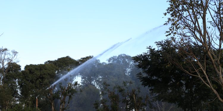 Terceira propriedade do país com irrigação de Erva Mate está em Erechim