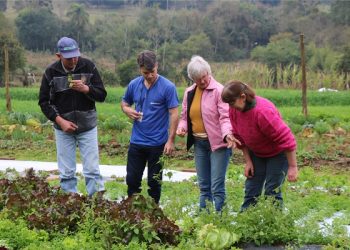 Empreendimentos da agricultura familiar atingidos pela estiagem são beneficiados com desconto nas operações de crédito