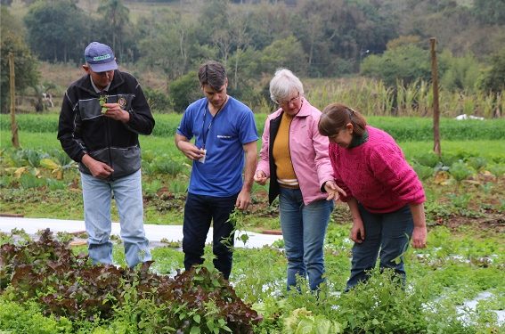 Empreendimentos da agricultura familiar atingidos pela estiagem são beneficiados com desconto nas operações de crédito