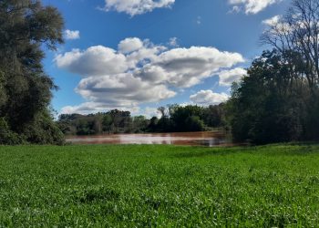 Chuvas intensas geram danos e prejuízos às safras no RS