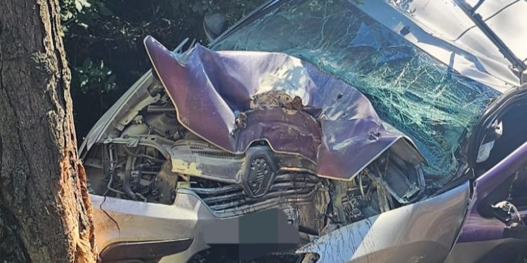 URGENTE: homem morre após bater veículo em árvore na cidade de Coxilha