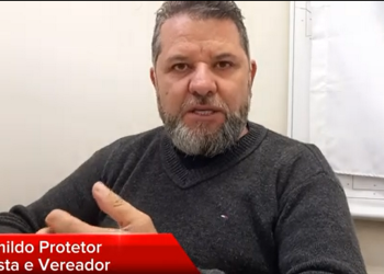 Saiba quais os cuidados básicos para ter um animal de estimação em casa