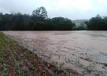 Prejuízos na agricultura devido ao excesso de chuvas passam de R$ 21 milhões em Erechim