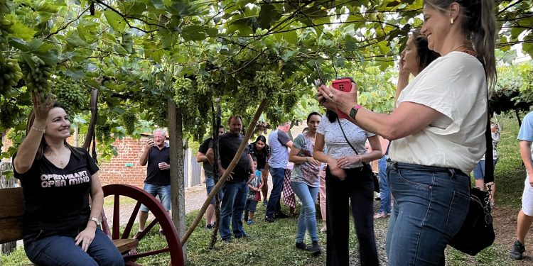 Linha Turismo Erechim oferece passeios da safra da uva