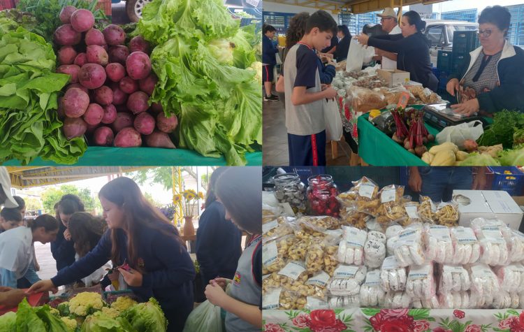 Feira do Produtor na Escola: experiência com hábitos saudáveis na alimentação