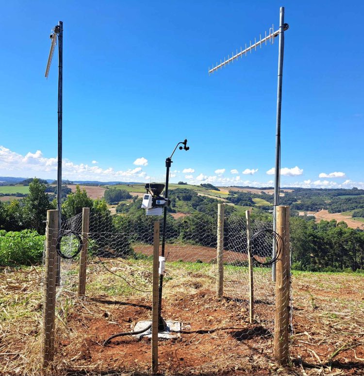 Machadinho conta com monitoramento agroclimático na erva-mate