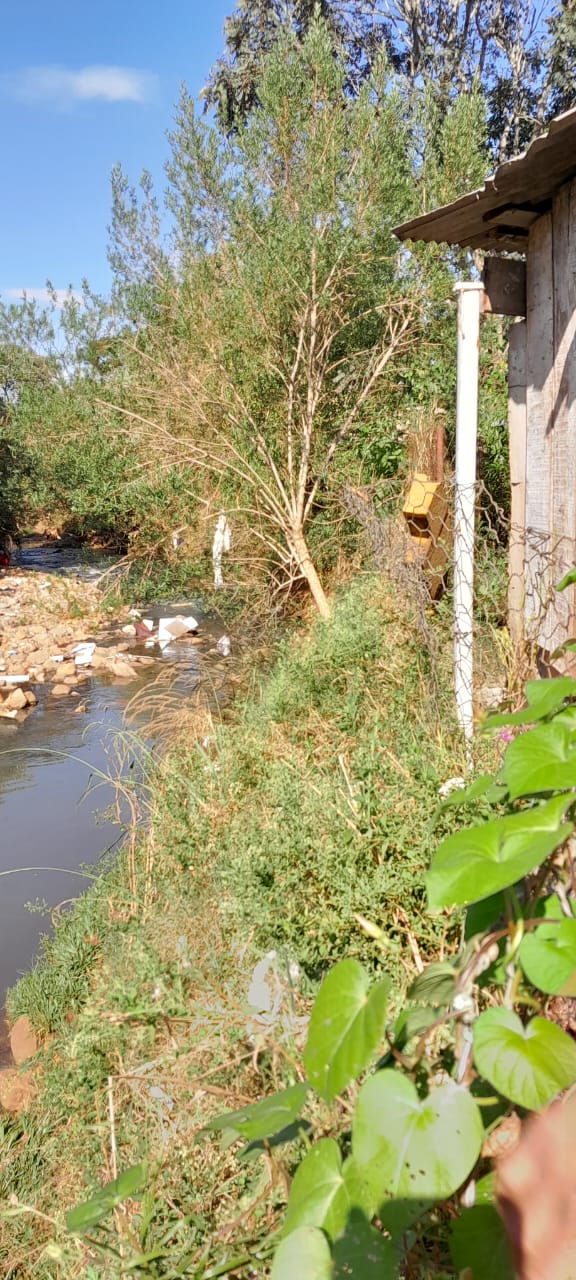 Vereador Araújo cobra medidas para evitar desbarrancamento das margens do Rio Apuae-mirin