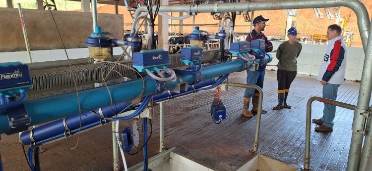 Produção leiteira com tecnologia de confinamento cresce no Distrito de Capoerê