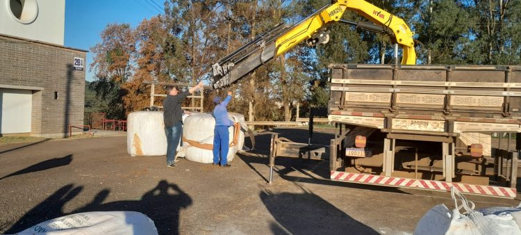 Prefeitura e entidades arrecadam e enviam mais de 30 toneladas de alimentos para criadores de gado de corte e leite