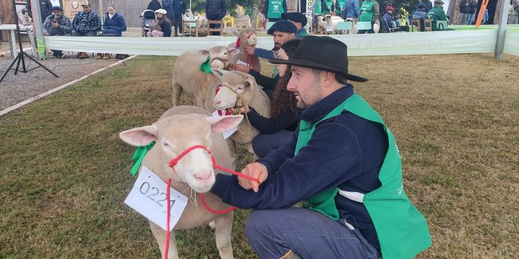 Fenovinos conhece seus campeões e divulga cidade sede para 2025