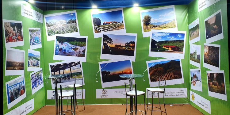 Qualidade do azeite extravirgem gaúcho é destaque em evento de Turismo no Rio