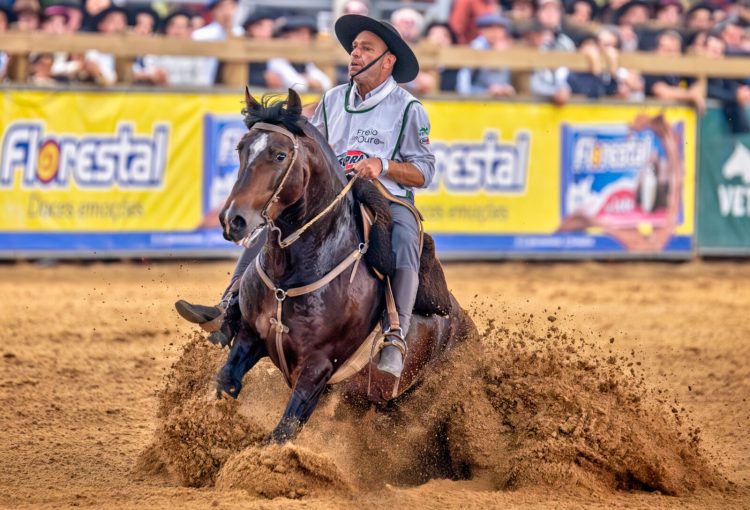 Freio de Ouro celebra os melhores em noite de festa na Expointer