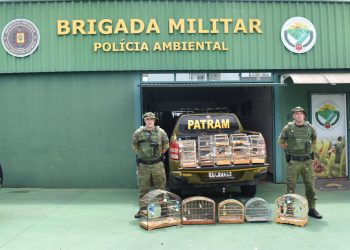 Brigada Militar resgata pássaros silvestres de cativeiro ilegal em Erechim