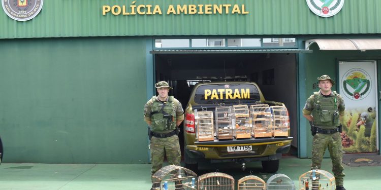 Brigada Militar resgata pássaros silvestres de cativeiro ilegal em Erechim
