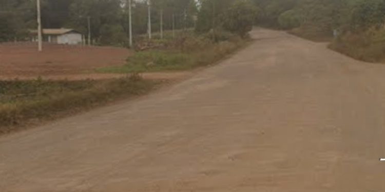 Novo corredor de desenvolvimento pode nascer na Transbrasiliana, afirma Polis