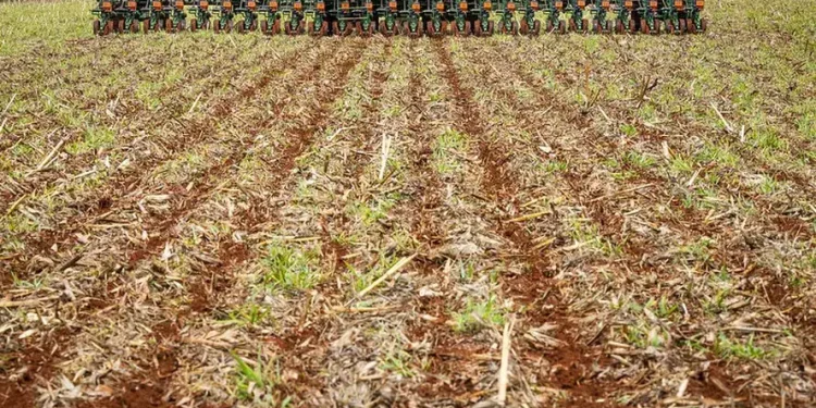 Em 40 anos, área destinada à soja cresce nove vezes no País