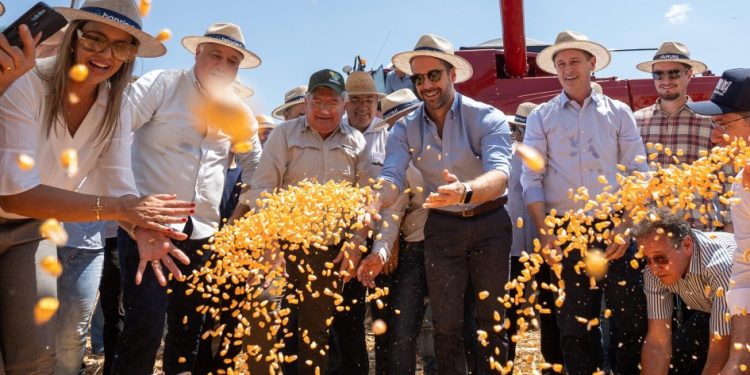 Governador participa da 12ª Abertura da Colheita do Milho em Paulo Bento