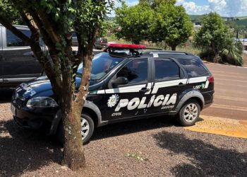 PC resgata gato vítima de maus-tratos após vídeo viral causar revolta nas redes sociais