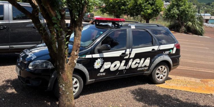 PC resgata gato vítima de maus-tratos após vídeo viral causar revolta nas redes sociais