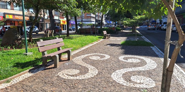 Prefeitura avança na revitalização dos canteiros centrais com novas pedras e arborização adequada