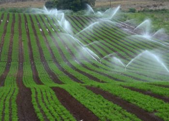 Irrigação será discutida em Cruzaltense nesta quarta (14)