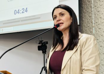 Carla Talgatti cobra ações para reforçar sinalização e proteção em vias urbanas