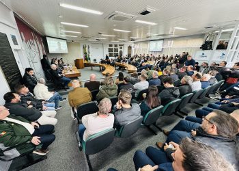 Mobilização pela Transbrasiliana avança: DNIT aprova projeto e articulação foca inclusão no orçamento federal