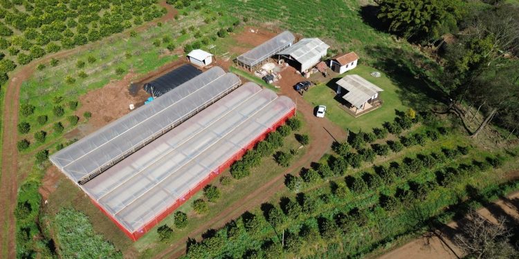 Agricultura de Severiano de Almeida passa a contar como novos benefícios propostos pela Administração Municipal