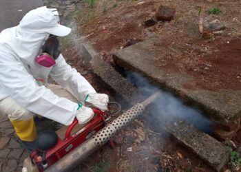 Desinsetização nas bocas de lobo integra estratégia preventiva contra mosquitos e baratas em Erechim